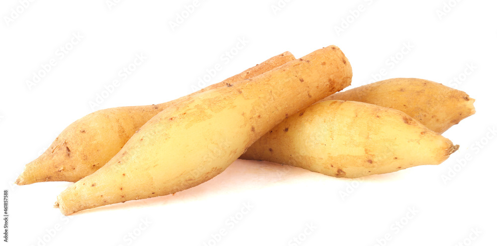 Finger root (Krachai, Kaempferia ) isolated on white background, herb.