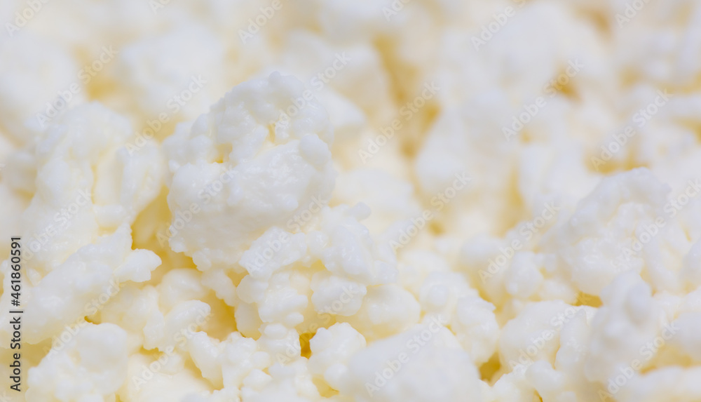 Fresh milk curd as background. Fresh milk curd as background.