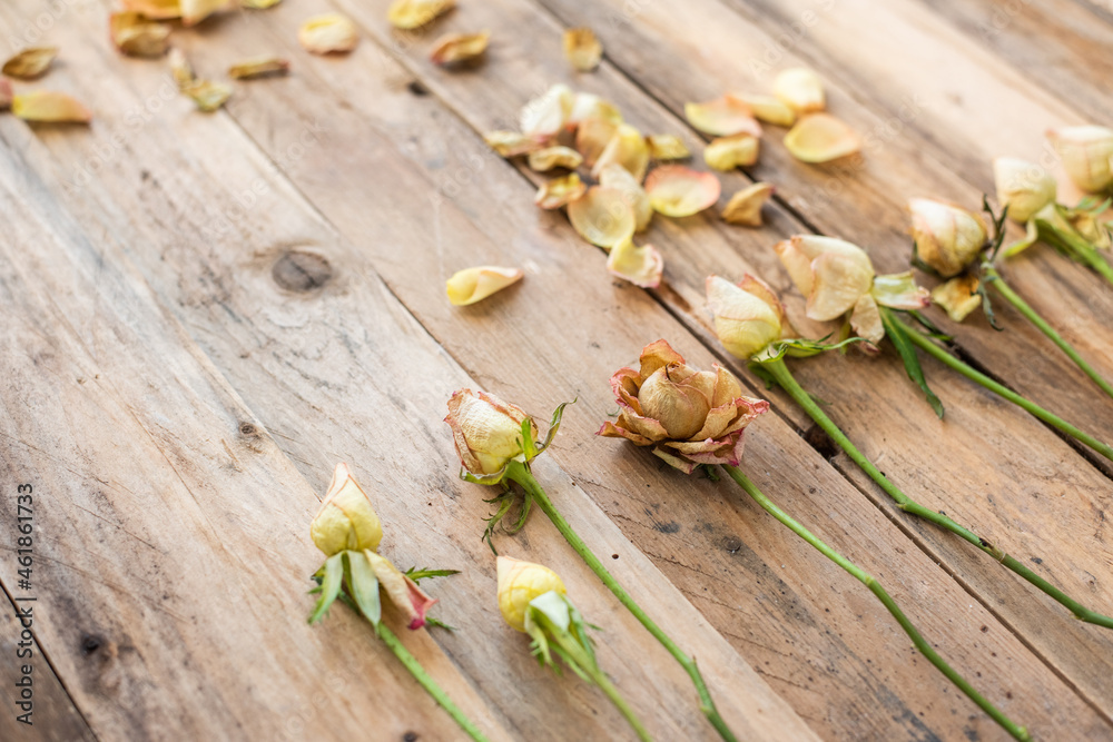 Getrocknete Rosen auf Untergrund aus Holz