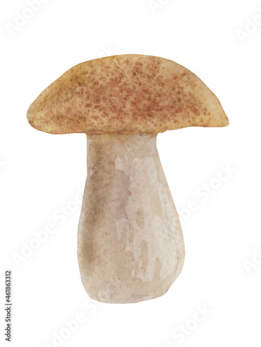 Watercolor image of boletus mushroom isolated on a white background, go for stickers, stickers, presentations, product design, packaging and other printing purposes.