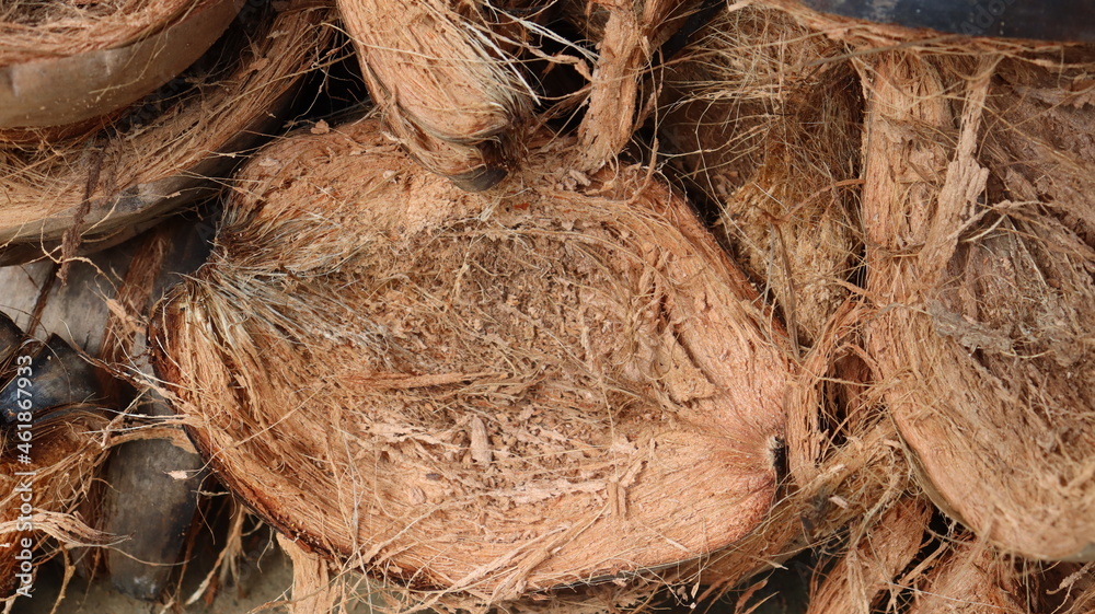 close up of coconut shell close up of coconut shell