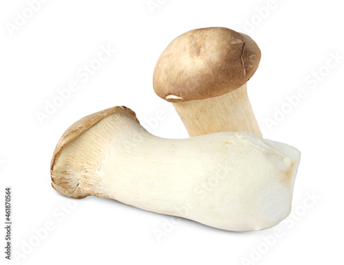 King oyster mushroom. Eryngii mushroom, on white background.