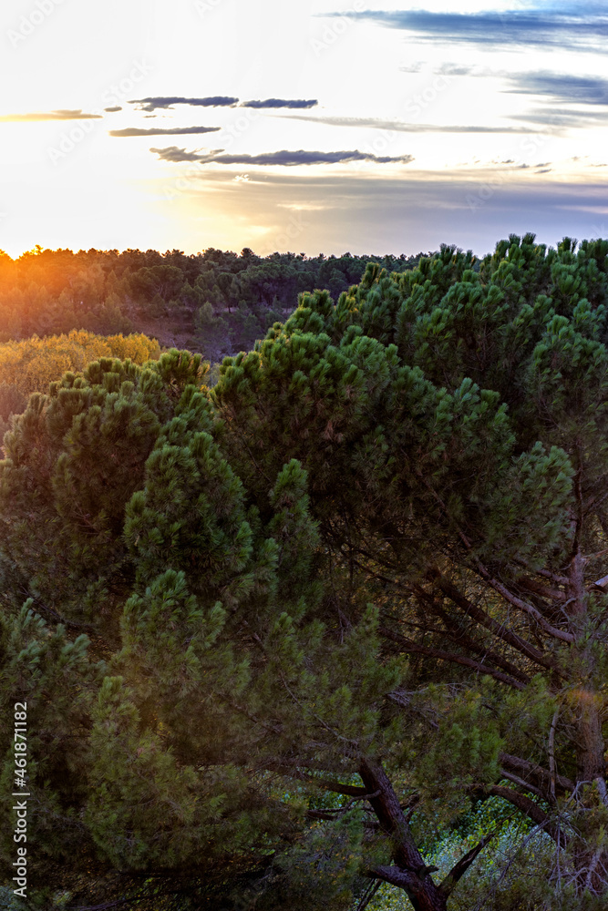 Fototapeta premium Puesta de sol en coca, Segovia