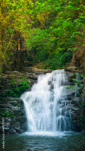 Fototapeta Naklejka Na Ścianę i Meble -  waterfall in the jungle