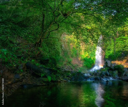 waterfall in the woods