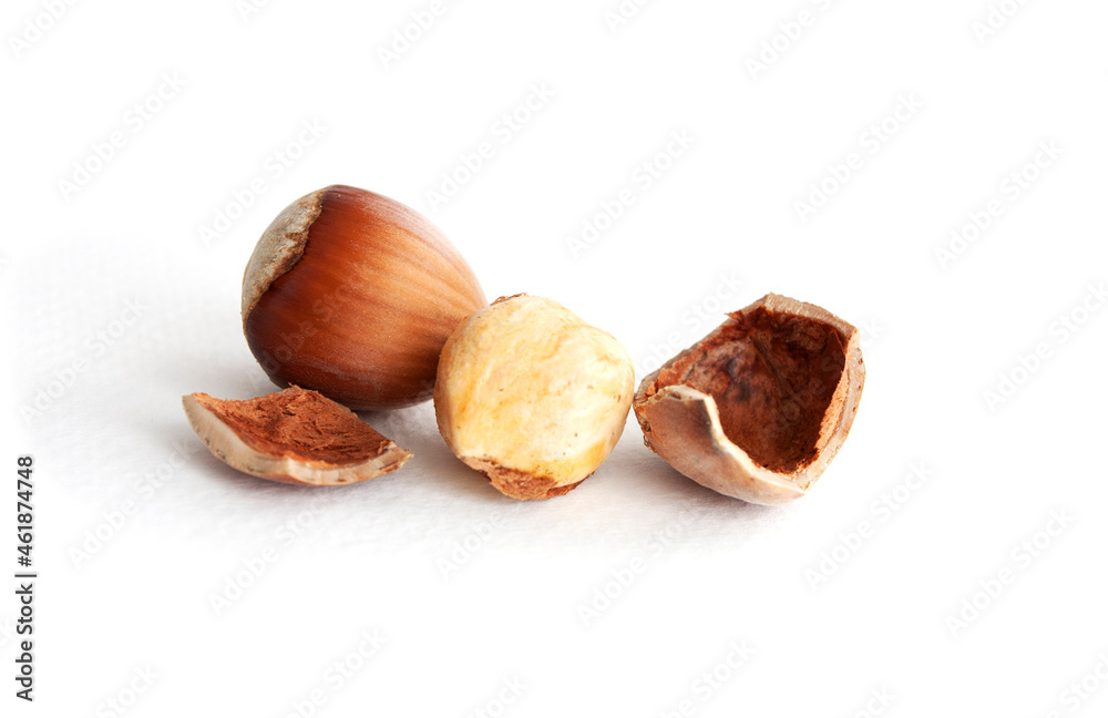 Few hazelnut Few hazelnut