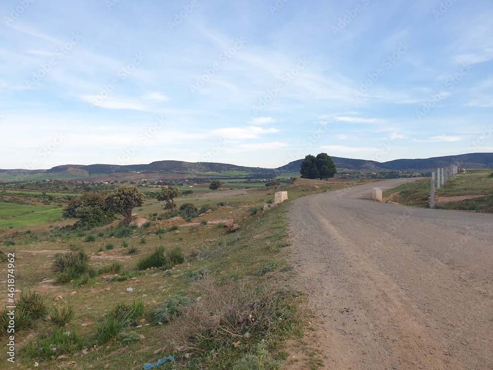 A road between fields in the picturesque countryside. A road between fields in the picturesque countryside.