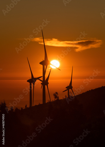 Wind turbines at sunset.  photo