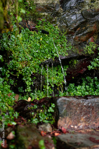 Natural spring water