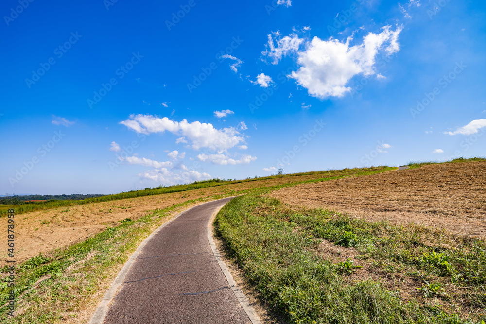 【自然】青空の下の草原と道 背景素材
【自然】青空の下の草原と道 背景素材