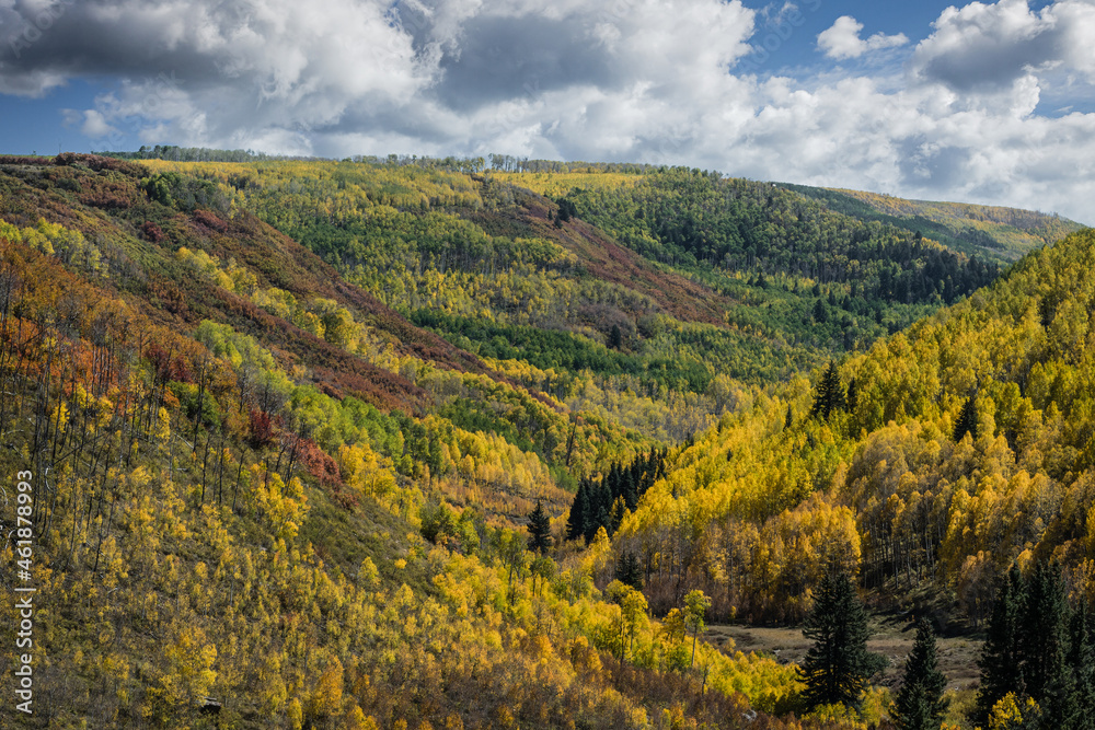 Autumn Color in the Lizard Head Wilderness of Colorado.
