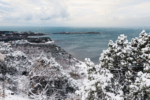 Winter with snow trees and sea. Snowy Christmas landscape