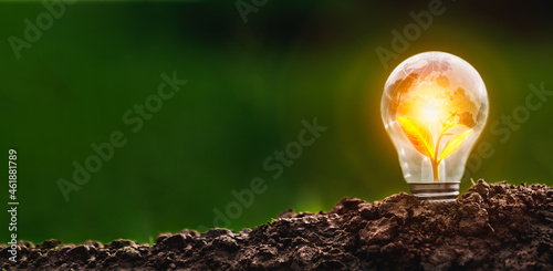 Fotografia Sustainability of energy concept, Start up business concept