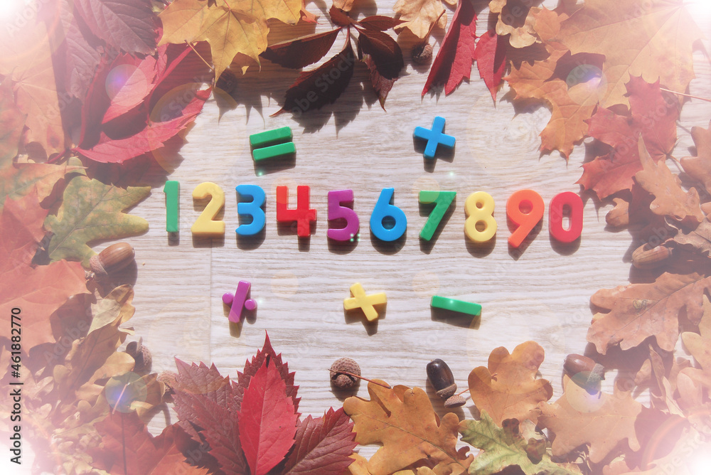 Fototapeta premium back to school