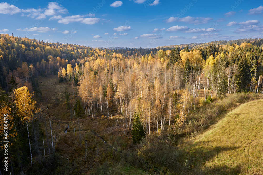 View from above of sunny yellow autumn forest.