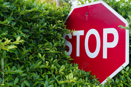 The stop sign is obscured by trees, making it difficult to see while driving photo