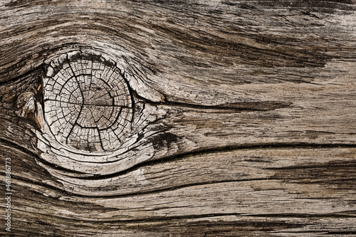 美しい木目模様