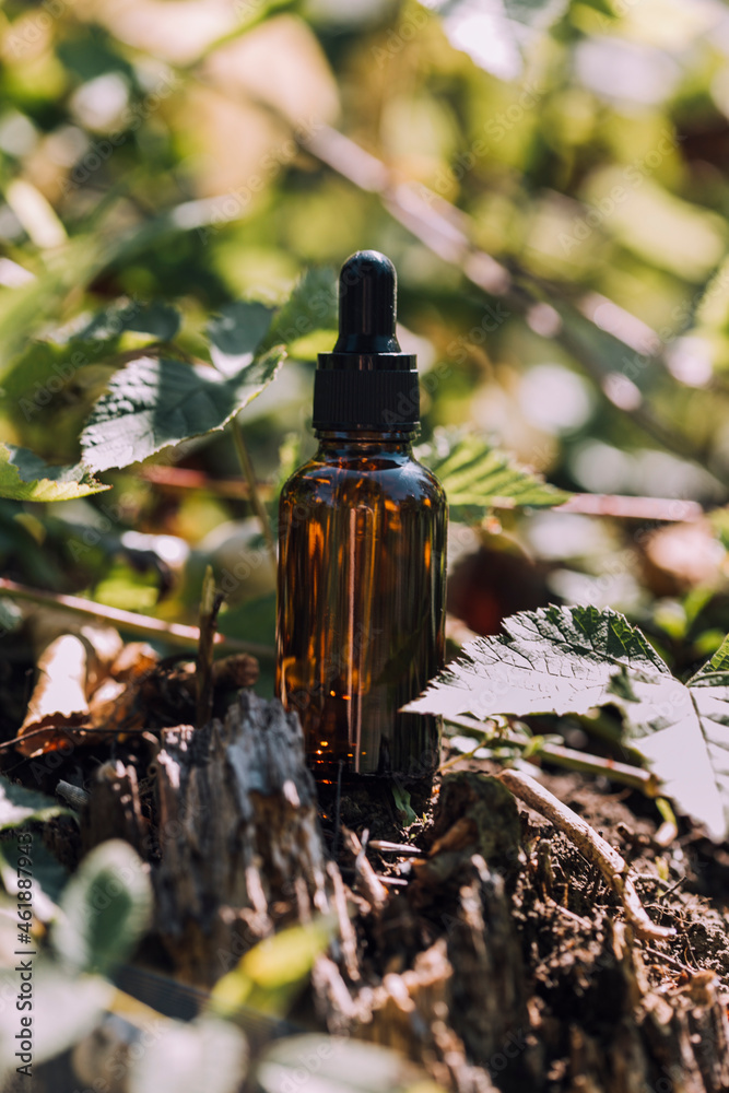 glass cosmetic bottle on a natural background glass cosmetic bottle on a natural background