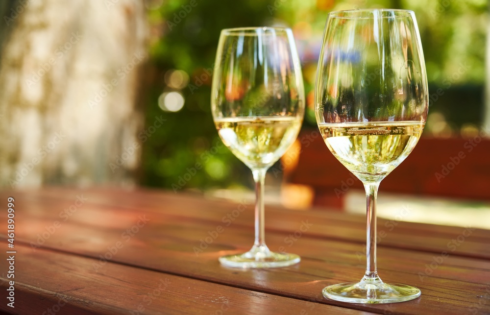 Glasses of white wine outdoor in garden. Autumn sunlight,