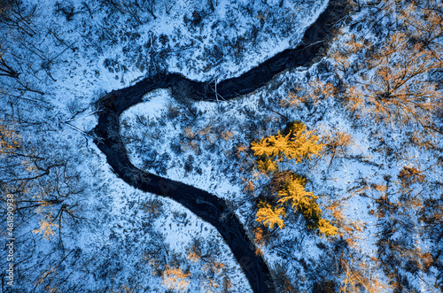 Aerial top-down view of forest in winter season