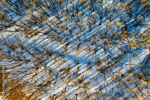 Aerial top-down view of forest in winter season