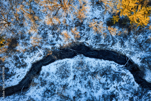 Aerial top-down view of forest in winter season