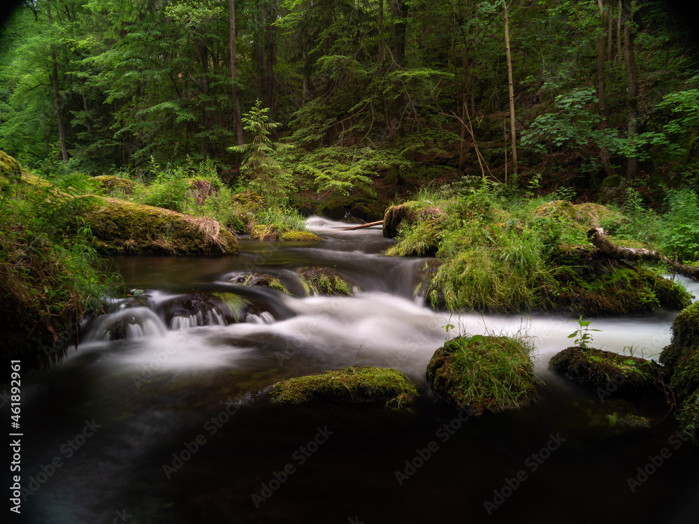 smooth motion of wild water in a river in summer with rocks and stones in the beautiful nature of a forest smooth motion of wild water in a river in summer with rocks and stones in the beautiful nature of a forest