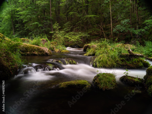 Fototapeta Naklejka Na Ścianę i Meble -  smooth motion of wild water in a river in summer with rocks and stones in the beautiful nature of a forest