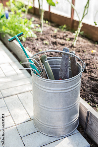 Gardening tools in a metal bucket © Yuri Bizgaimer