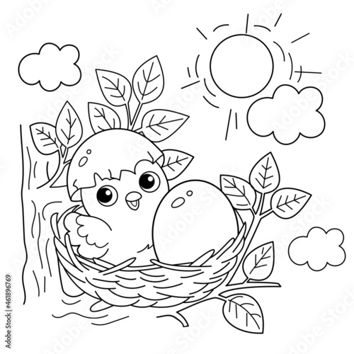 Coloring Page Outline of cartoon little chick in nest with egg. Newborn chicken. Birds. Coloring book for kids.