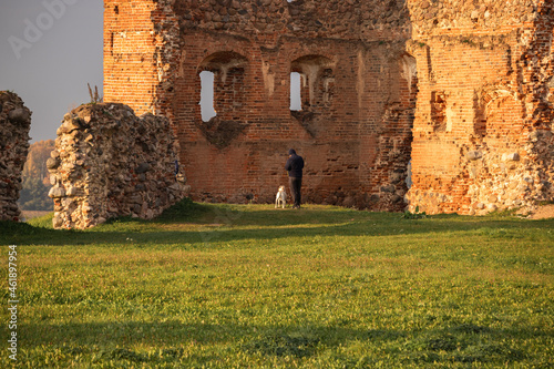 ruins of an old castle photo