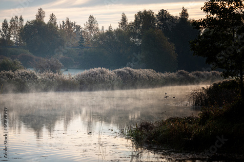 calm misty October morning, river, ducks on water, forest ahead, frost on reeds, reflection of river bank. Latvia landscape