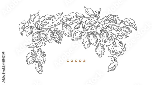 Cocoa border. Graphic vector. Art line plantation