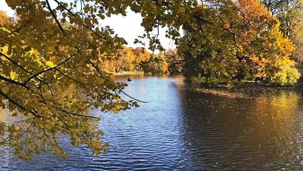 autumn in city park. pond surrounded by trees with green and yellow leaves. autumn in city park. pond surrounded by trees with green and yellow leaves.