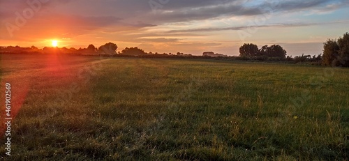 sunset over the field © Evke