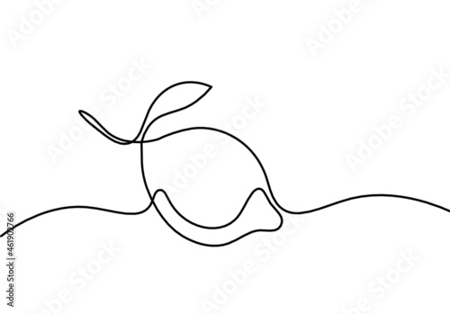 Drawing line lemon on the white background. Vector