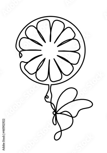 Drawing line lemon on the white background. Vector