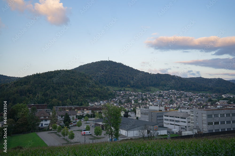 panorama of the city Lovely Switzerland 