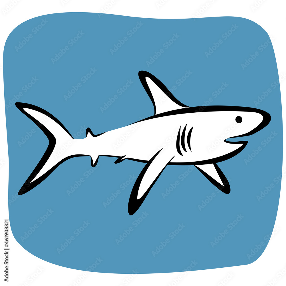 Obraz premium Shark vector drawing