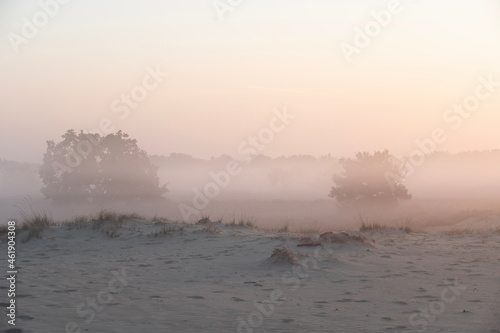 sunrise in the fog