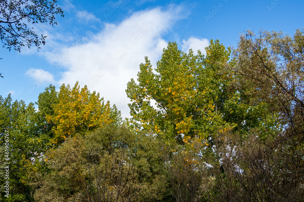 Naklejka premium Wild nature park near the city of Madrid