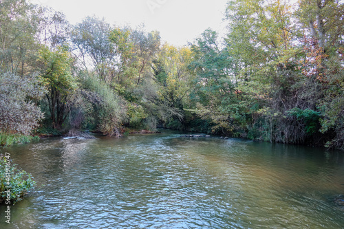 Wild nature park near the city of Madrid