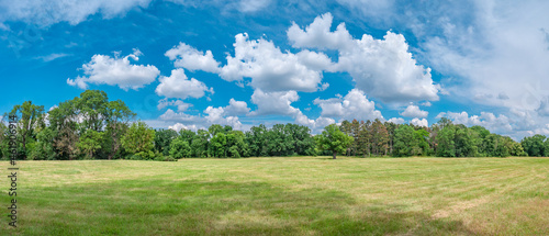 Fototapeta Naklejka Na Ścianę i Meble -  Magical panoramic view of deciduous forest in Summer with blue sky and clouds, near Magdeburg, Germany, sunny morning.