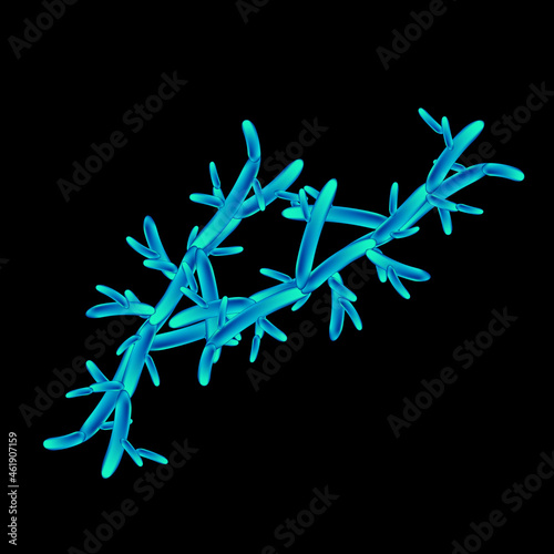 C. pseudotropicalis candida. Pathogenic yeast-like fungi of the Candida type morphological structure. Vector illustration