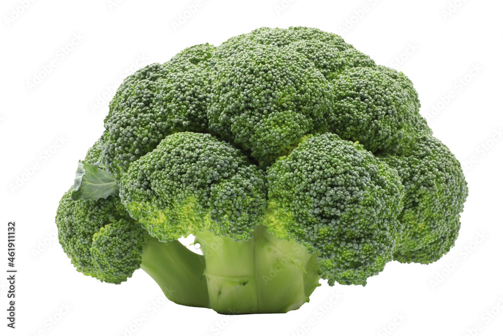 Whole broccoli isolated on white background Whole broccoli isolated on white background