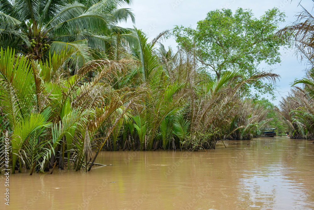 Beautiful scene of the Mekong River Delta in Vietnam Beautiful scene of the Mekong River Delta in Vietnam