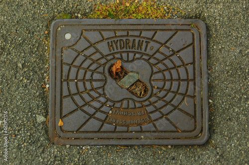 Wallpaper Mural Iron cover for an underground hydrant, through which the fire brigade receives extinguishing water Torontodigital.ca