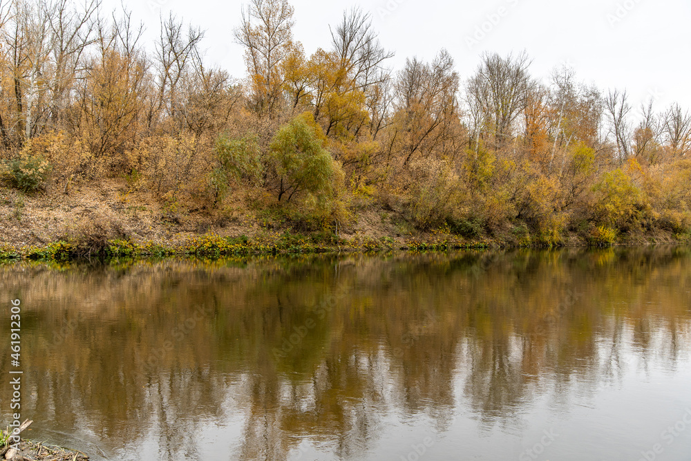 autumn forest over the river