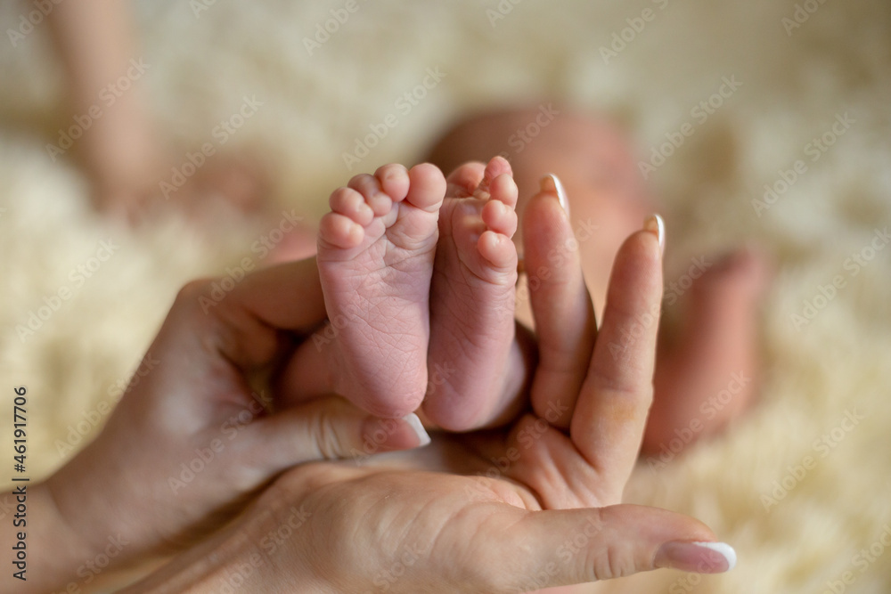 hands hold the legs of the newborn hands hold the legs of the newborn