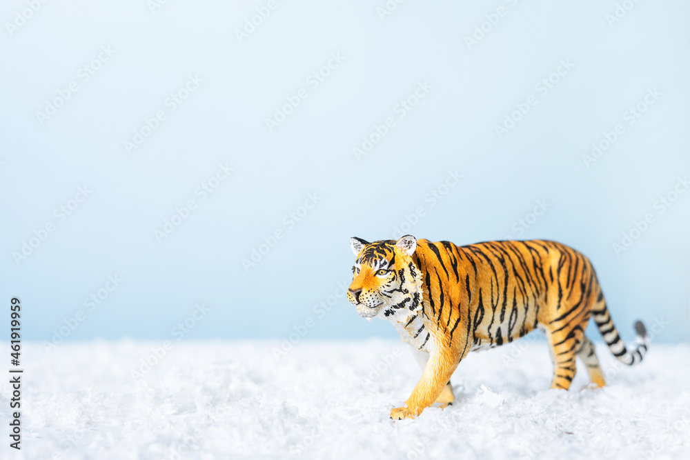 Obraz premium Tiger symbol of the Chinese new year 2022. Figurine of tiger in snow on blue background. Christmas greeting card. Banner, copy space.